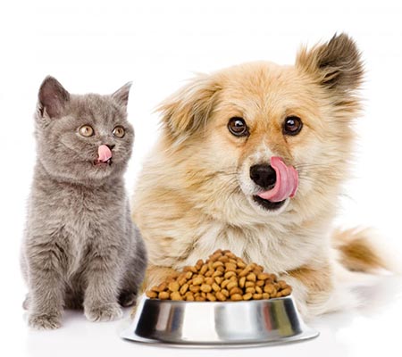 pet food production